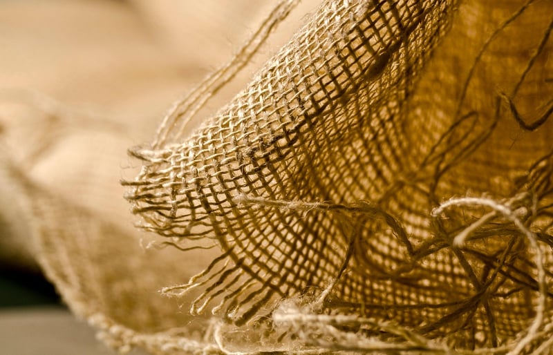 Nature-inspired crafts